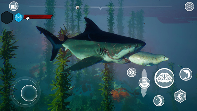 ʳ����steam������ֲ��(Maneater)v1.4.2 �ֻ������н�ͼ