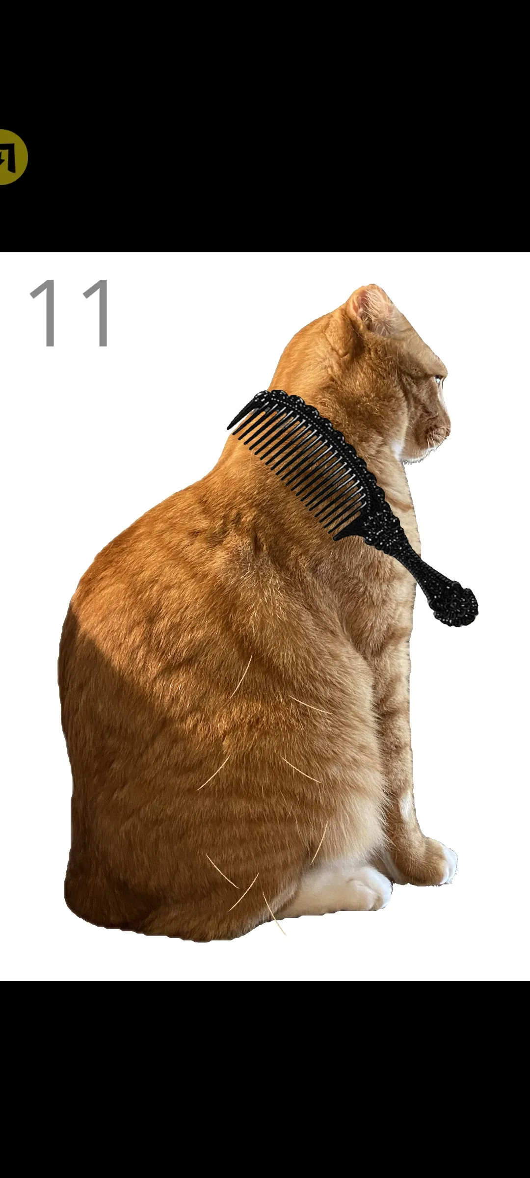 ��è��ë(èë����С��Ϸ)v1.0 ��׿��