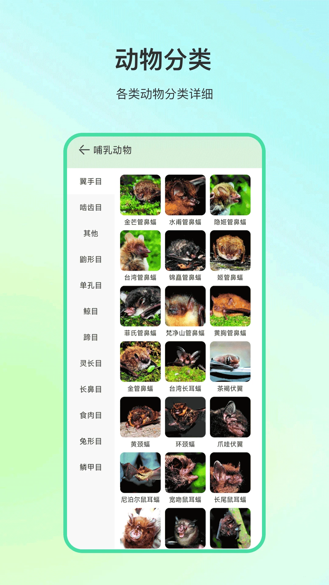 ����ٿƹٷ������ֻ���v4.1.7 ��׿��