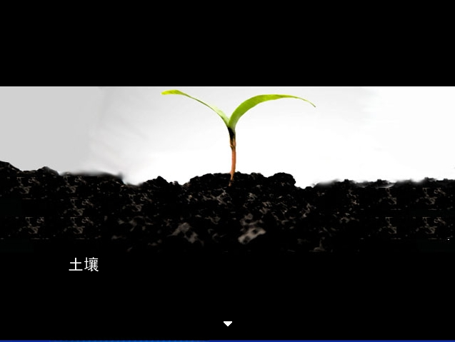 悲痛之种截图0